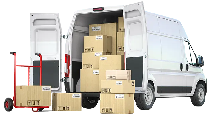 Dispatch Track Deliveries